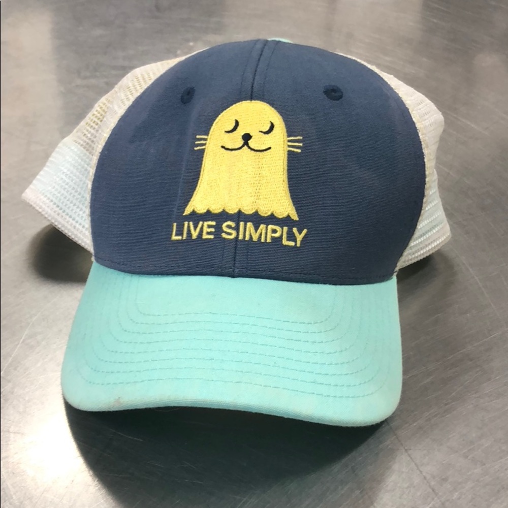 Patagonia Hat